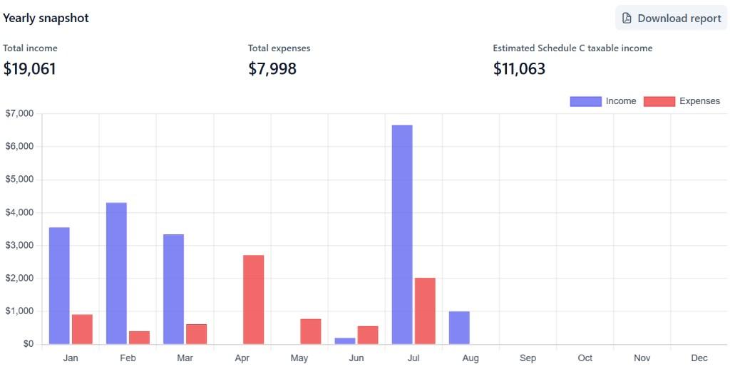 Lancer yearly snapshot with total income, expenses, and month-by-month chart